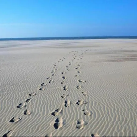 In Near Marina Views 公寓 尼乌波特