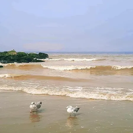 In Near Marina Views *