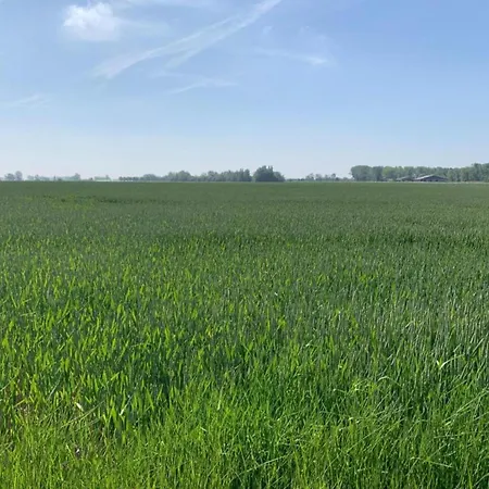 In Near Marina Views 公寓