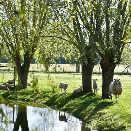 公寓 In Near Marina Views